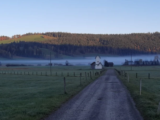 Rothenthurmer Thorthour - Moorlandschaft im Nebel