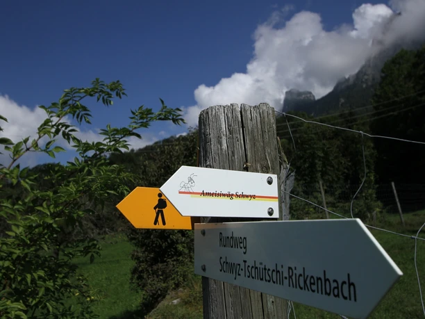 Ameisiwäg Schwyz