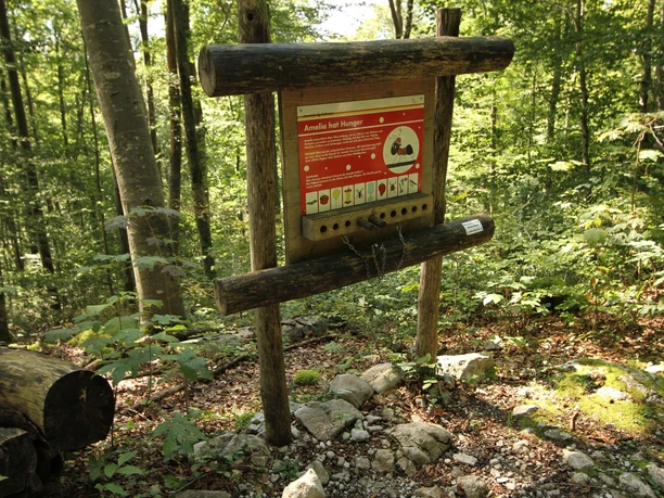 Ameisiwäg Schwyz - Infotafel