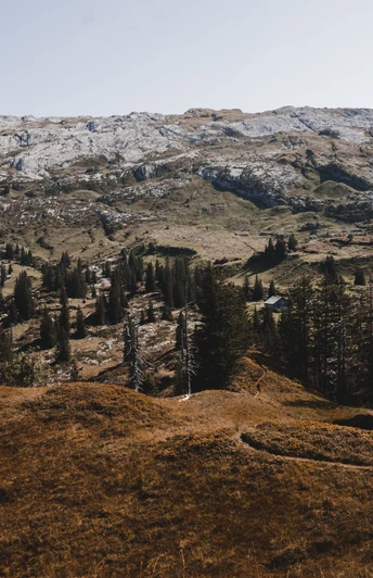Bödmeren Roggenstöckli