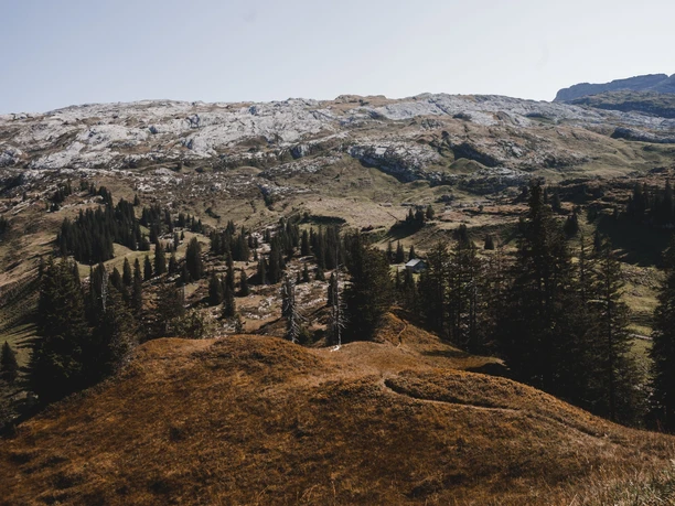Bödmeren Roggenstöckli