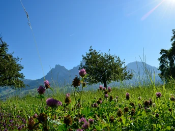 Blick auf die Mythen