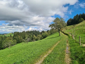 Eine typische Wegpassage nach Wisshubelhütten