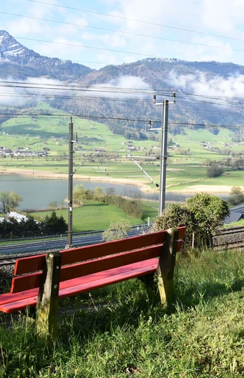 Aussicht auf das Flachmoor Sägel