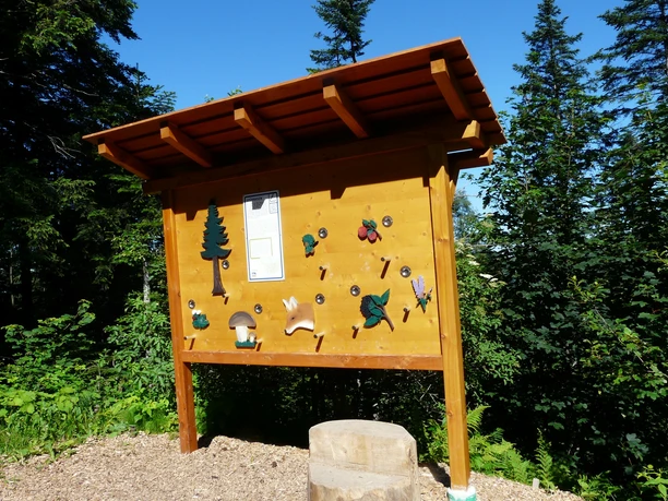 Verschiedene Posten auf dem Sinnespfad