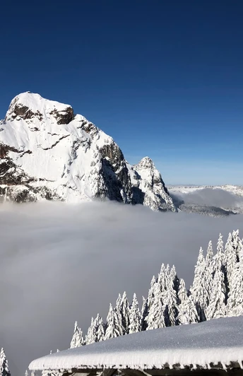Nebelmeer mit Grossem Mythen