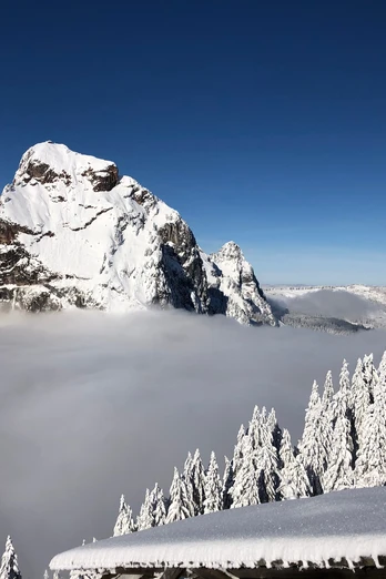 Nebelmeer mit Grossem Mythen