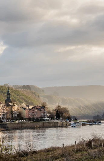 Blick auf Bad Schandau