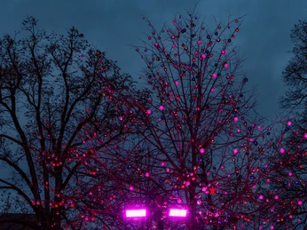 Schlittschuhbahn am Schützenplatz in Schmallenberg