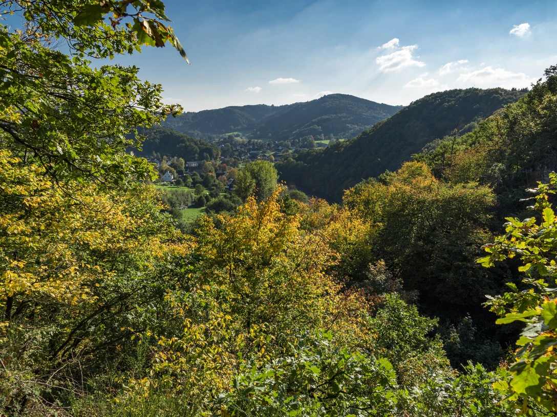 Naturschutzgebiet Ehemalige Siegschleife bei Dreisel