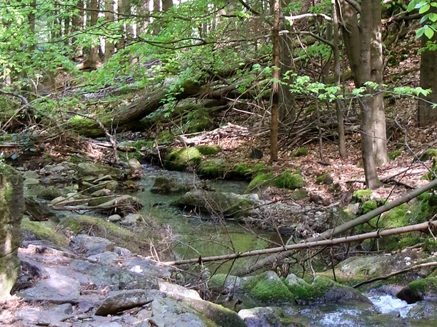 Floßmeister Rungstocktal