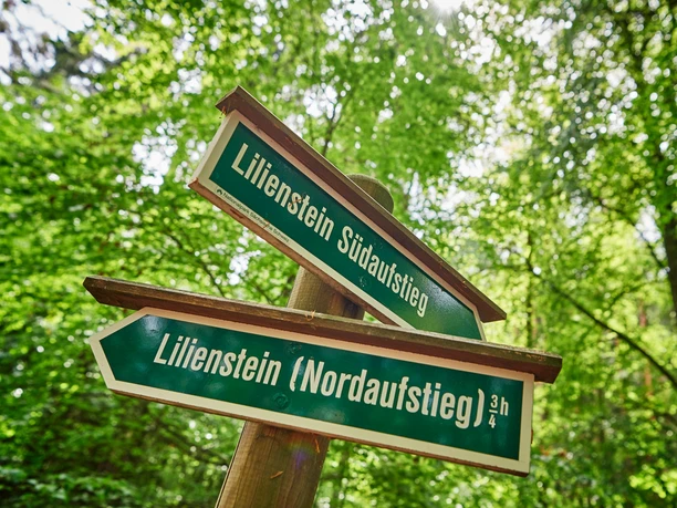 Wegweiser auf den Lilienstein