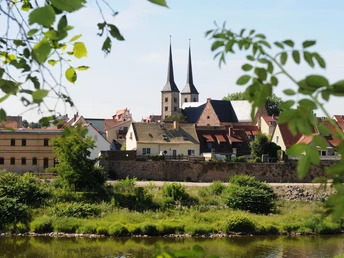 Blick auf die Altstadt Grimma