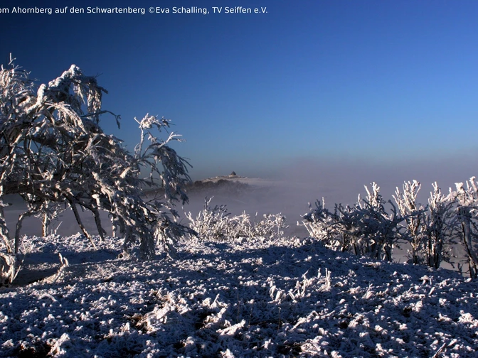 Blick vom Ahornberg auf den Schwartenberg