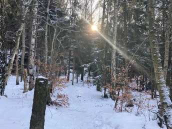 Wegweiser an der Kaiser Wilhelm Feste im Bielatal