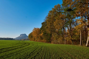Gohrischer Folgenweg mit Blick zum Lilienstein