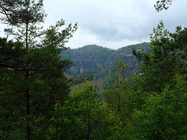 Blick in die Felsenwelt