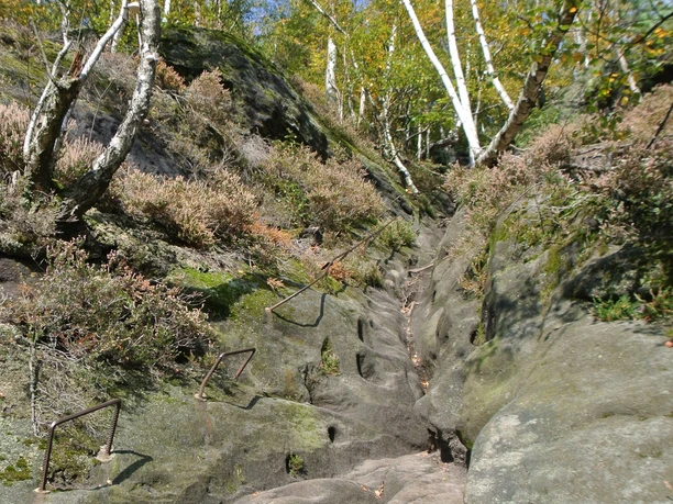 Wegpassage in der Rotkehlchenstiege