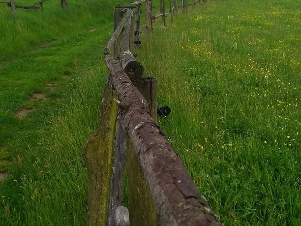 Weg zum Hankehübel