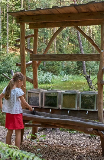 Walderlebnispfad Reinhardtsdorf