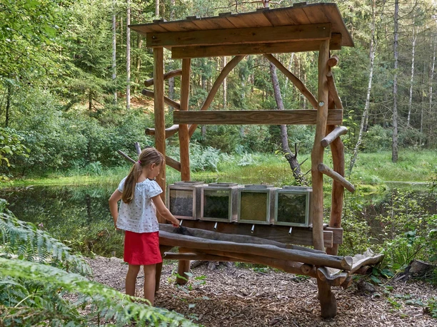 Walderlebnispfad Reinhardtsdorf
