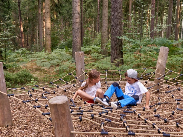 Walderlebnispfad Reinhardtsdorf