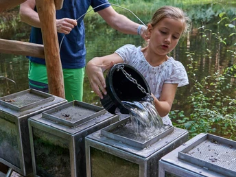 Walderlebnispfad Reinhardtsdorf