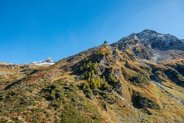 Furggubäumhorn / Punta d'Aurona