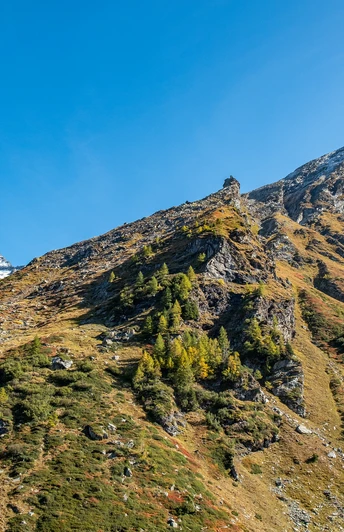 Furggubäumhorn / Punta d'Aurona