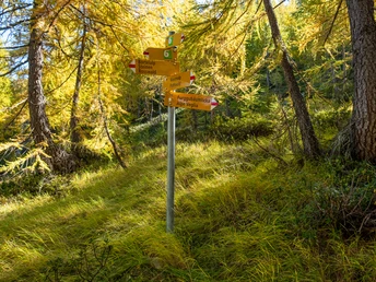 Wegweiser Richtung Furggubäumlicka