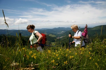 Wanderer Kaltenbronn