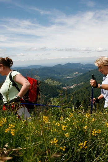 Wanderer Kaltenbronn