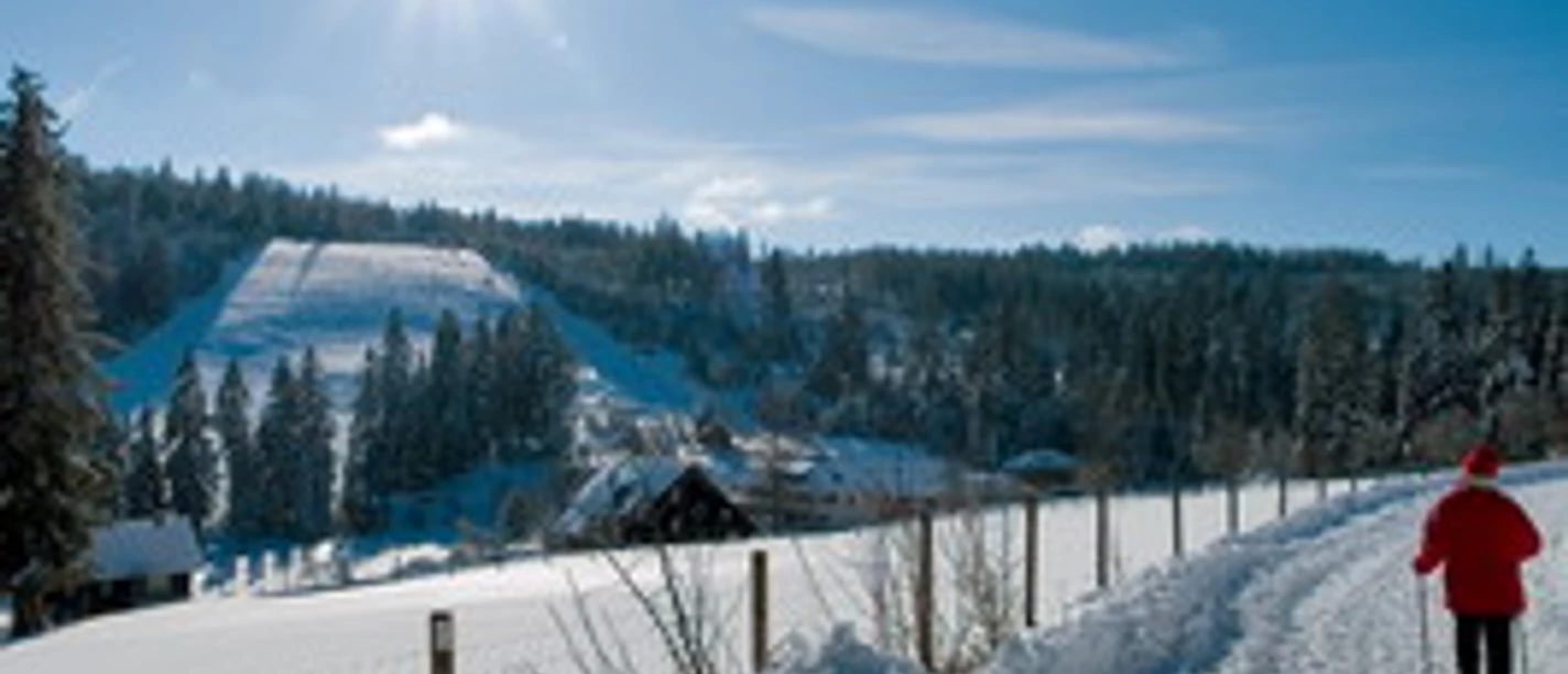 Winterwandern Kaltenbronn