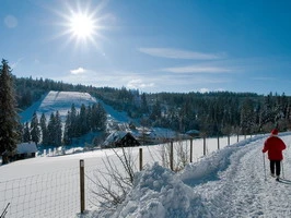 Winterwandern Kaltenbronn