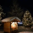 Waldweihnachten_2024.jpg