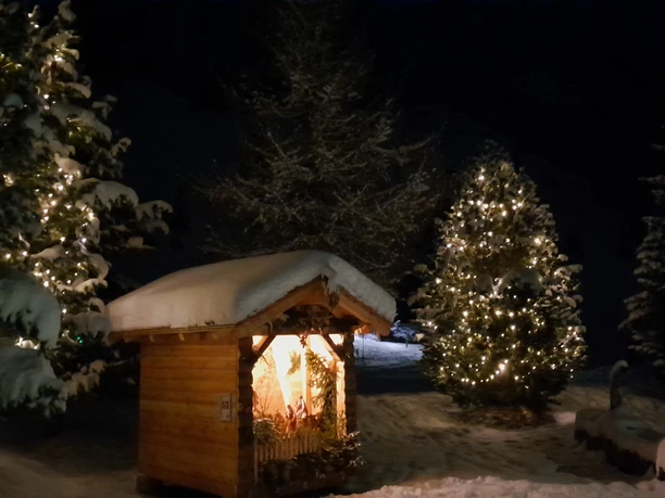 Waldweihnachten_2024.jpg