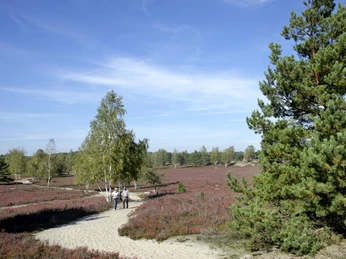 Nemitzer Heide