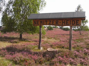 Nemitzer Heide