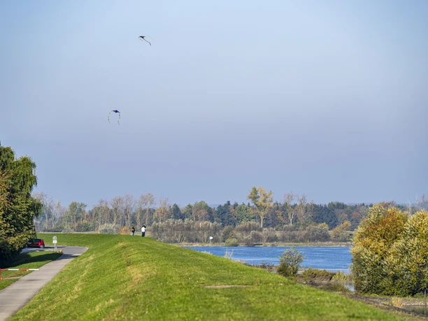 Drachen am Elbdeich bei Stove Spaziergänger lassen Drachen an der Elbe steigen
