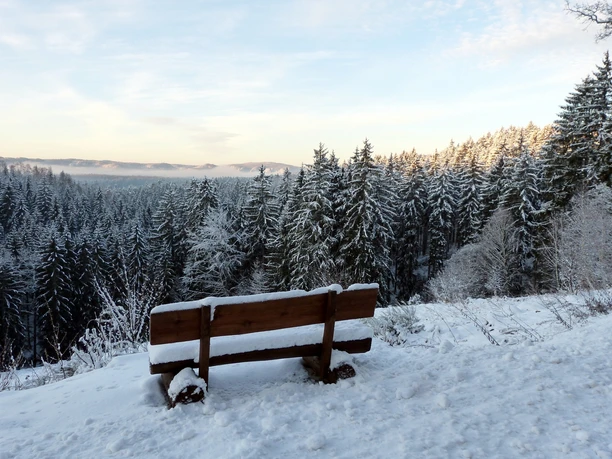 Winterwald bei Sebnitz