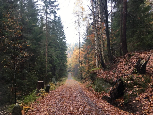 Das Tal der dürren Biela