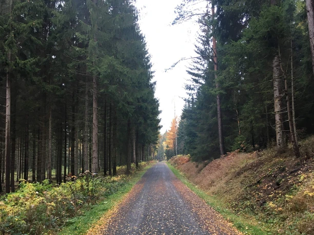 Bielagrund