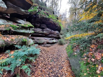 Auf dem Großen Zschirnstein