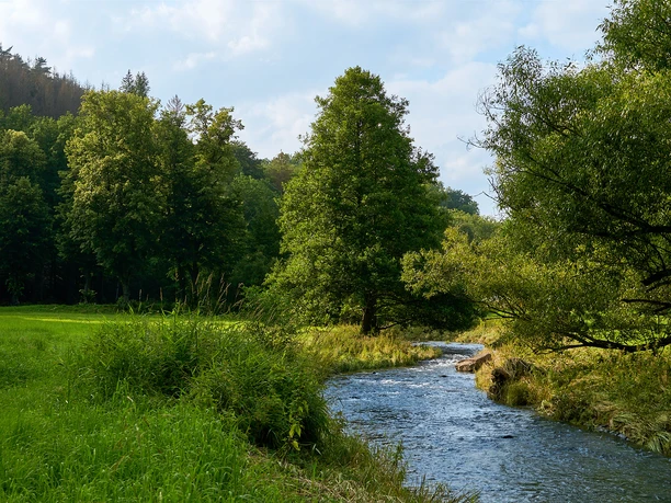 Polenztal nähe Bockmühle