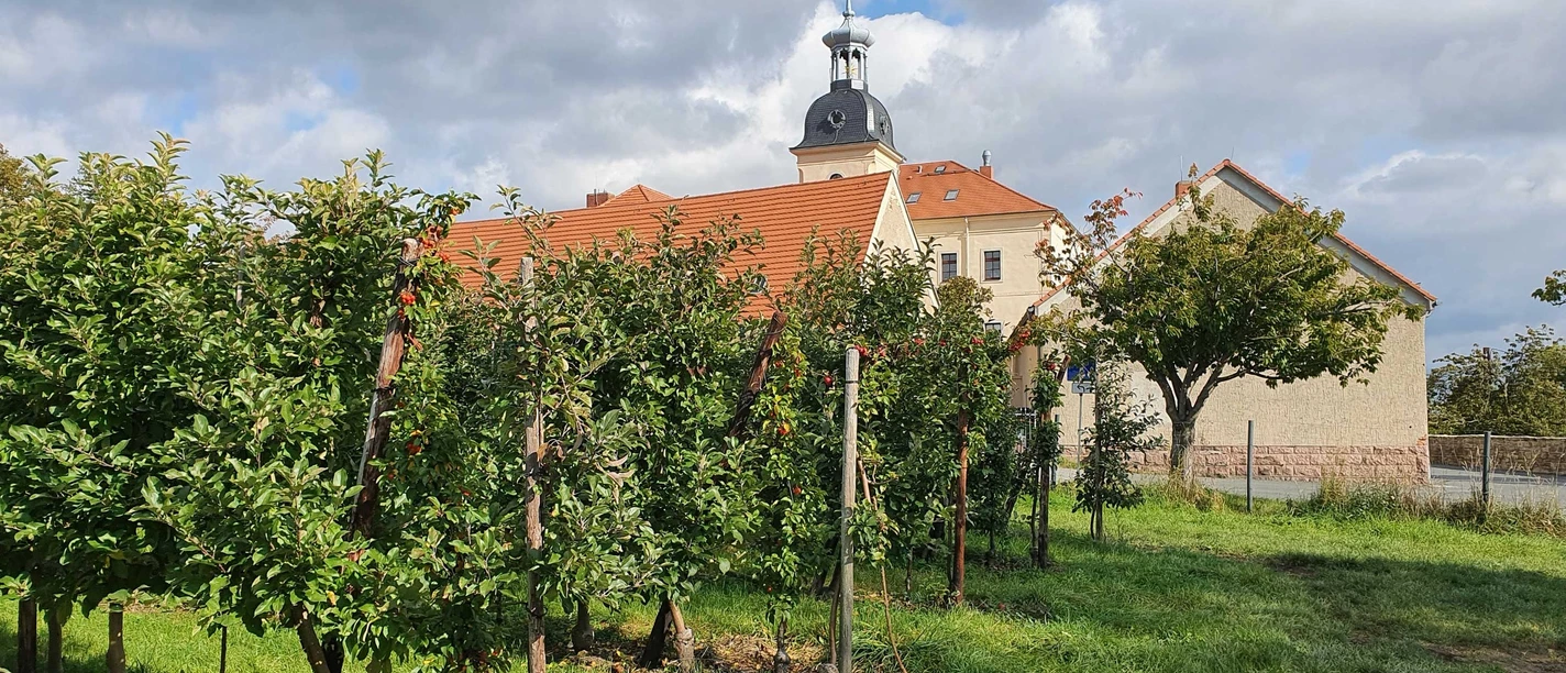 Schloss und Apfelplantage in Röhrsdorf