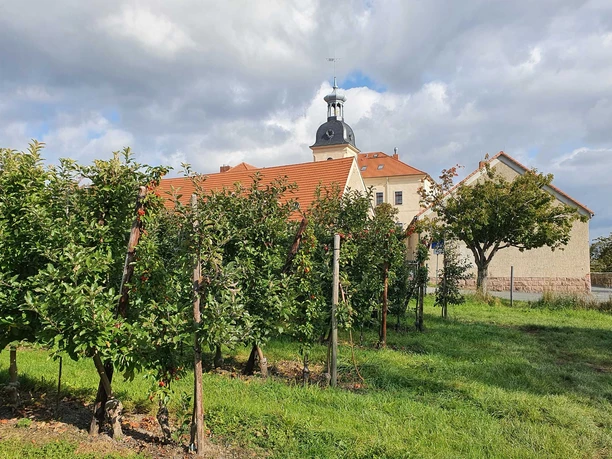 Schloss und Apfelplantage in Röhrsdorf