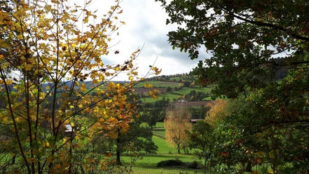 Ital im Herbst bei Uslar-Eschershausen (Es 5)