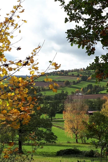 Ital im Herbst bei Uslar-Eschershausen (Es 5)