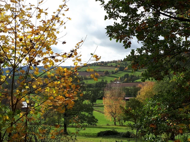 Ital im Herbst bei Uslar-Eschershausen (Es 5) Ital im Herbst bei Uslar-Eschershausen (Es 5)