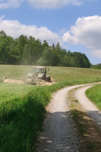 Henneckenberg und Jägeranger (Es 6)